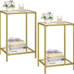 Side Tables Set of 2, End Tables with Tempered Glass