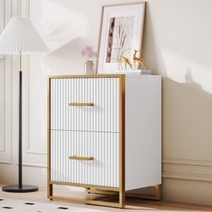 28 Deep 2-Drawer File Cabinet, Vertical Filing Cabinet with Drawers